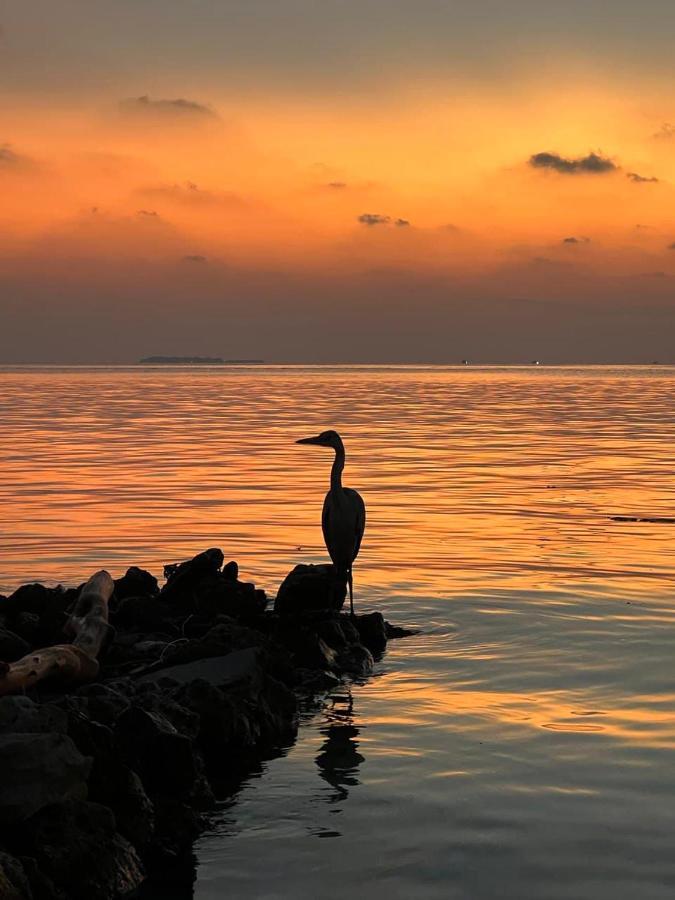 Raalhu Dhangethi住宿加早餐旅馆 外观 照片