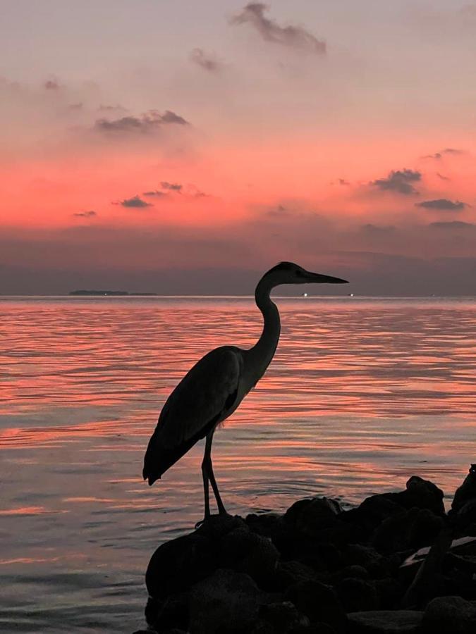 Raalhu Dhangethi住宿加早餐旅馆 外观 照片