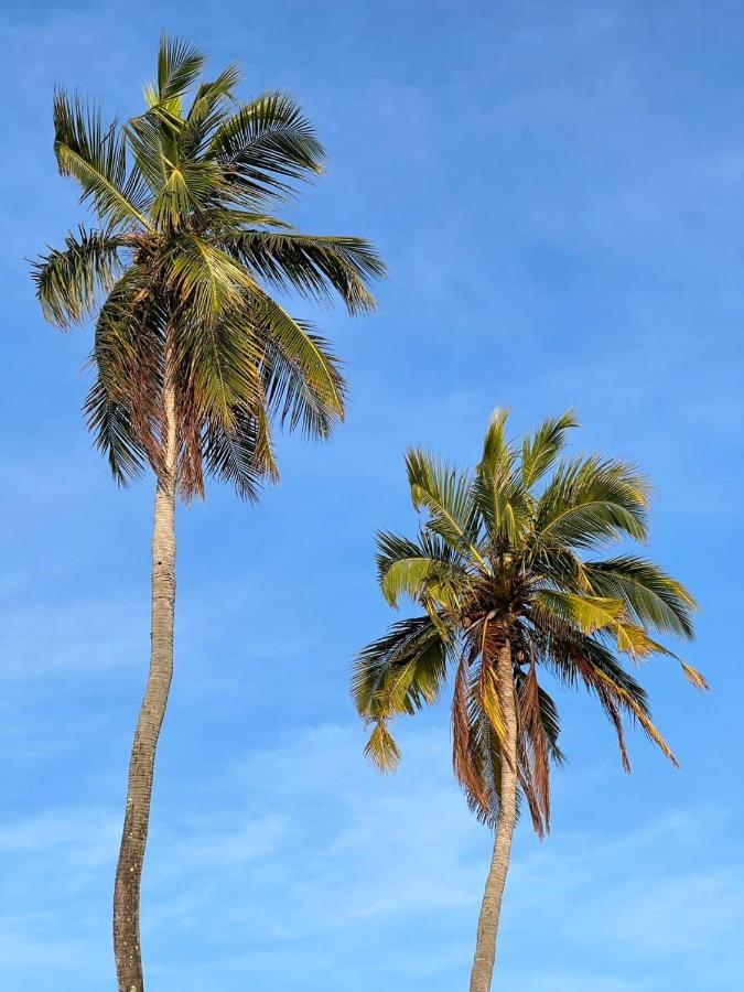 Raalhu Dhangethi住宿加早餐旅馆 外观 照片